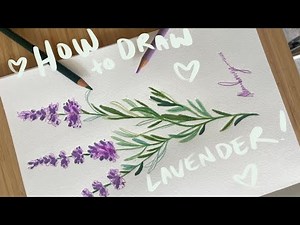 How to Draw Lavender! Draw with me Tutorial