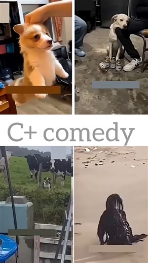 cute animals funny voice trending shorts video #cuteanimalsfunnyvideosshorts #entertaininganimals