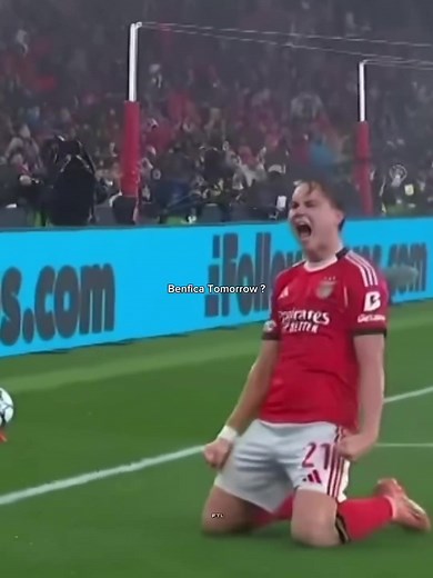 Real Madrid vs Benfica Match Highlights