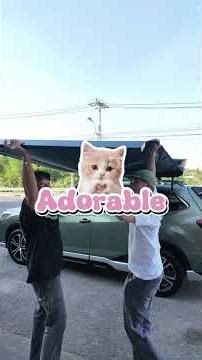 𝗥𝗼𝗼𝗳𝗕𝗼𝘅 𝗛𝗮𝗻𝘂𝗺𝗮𝗻 𝗙𝘂𝗻𝗻𝘆 + 𝗛𝗮𝗻𝘂𝗺𝗮𝗻 𝐀𝐰𝐧𝐢𝐧𝐠 𝐏𝐕𝐂 𝟏.𝟔𝐱𝟐 𝐦.