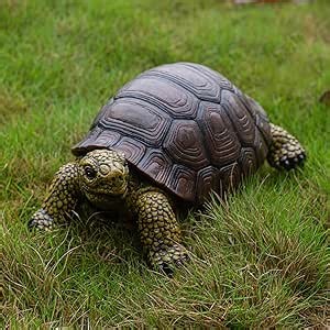 Garden Turtle Statue, Large Resin Tortoise Sculpture, 13L x 8.6W x 5.5H inches, Outdoor Yard Lawn Ornament,Home Decor