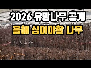 2026 Field Trip to Okcheon Central Nursery, the Nation's Seedling Hub