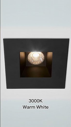 From Soft White to Daylight, Find Your Perfect Glow with Maxxima