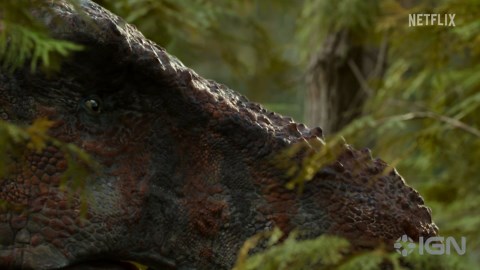 Life on Our Planet: Exclusive Clip