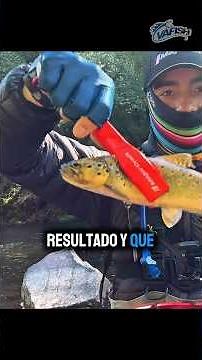 Over 700 kilometers from Santiago to the Araucanía Region #fishingchile #fishing