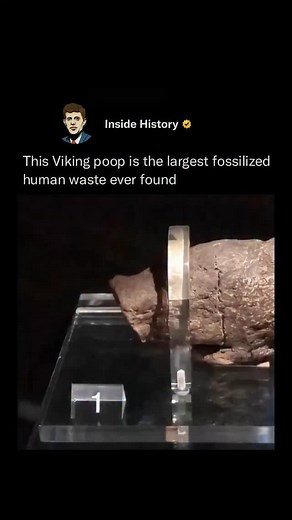The “Lloyds Bank Coprolite” is a remarkable piece of history—believed to be the largest fossilized human feces ever discovered! Measuring approximately 20 cm (8 inches) long and 5 cm (2 inches) wide, this Viking-era poop dates back to the 9th century. It was unearthed in 1972 during an excavation beneath what is now a Lloyds Bank branch in York, England. Today, this unusual yet scientifically valuable artifact is on display at the JORVIK Viking Centre, offering a surprisingly detailed glimpse in