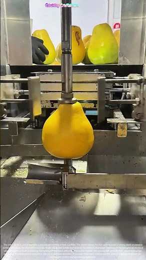 Fruit Peeling Revolution: Machine vs. Manual Labor