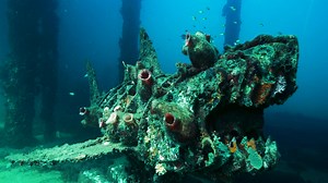 20K views · 253 reactions |  Perths Best Day Trip - Busselton...