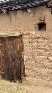 14K reactions · 708 shares | The Oldest Home in Phoenix Arizona #phoenix #oldest #pioneer | Jeff Schreckler | Facebook