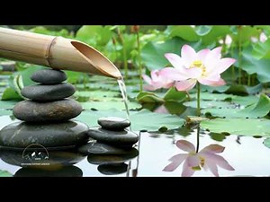 Nhạc Spa Thư Giãn – Massage & Ngủ Ngon với Âm Thanh Nước Êm Dịu | Spa Music for Sleep & Relaxation
