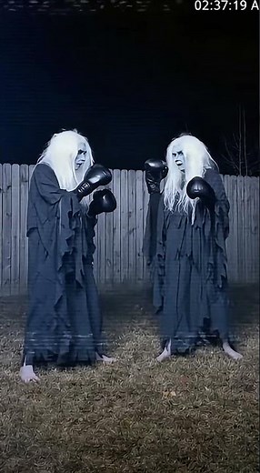 Two Ghosts Fighting in Backyard – Paranormal Boxing Footage