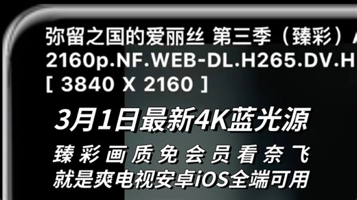 3月1日最新4K蓝光源，臻彩画质，免会员看奈飞就是爽，追剧APP电视安卓iOS平板iPad全端可用