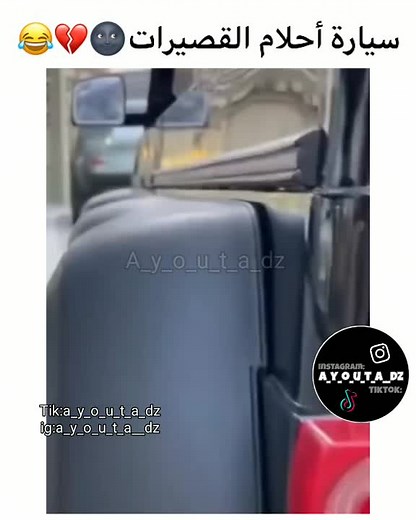 سيلفوبلي ومقولة عن العنب والقلب