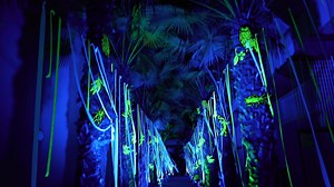 13K views · 143 reactions | Experience the power of light with your family these school holidays. USC's Solar Night is an ethereal, interactive experience for everyone to enjoy. | University of the Sunshine Coast | Facebook