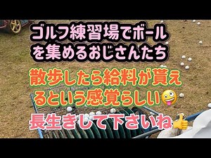 ［超簡単！超楽ちん！］ゴルフボール回収(人力編)手押し集球機を使ってお爺さんたちがボール拾い。#ゴルフ練習場 #ゴルフボール #集球#柏原ゴルフ練習場