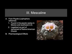 Lecture 20 Psychedelic Drugs Part 1