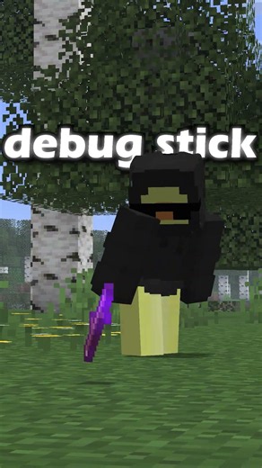 How a screenshot can reveal your base in Minecraft!!