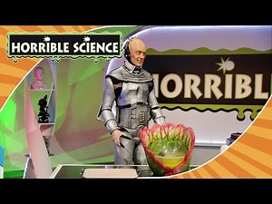 Horrible Science - Pitcher Plants | The Big Experiment | Science for Kids