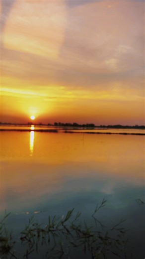 Transform Your Videos with the Just a Dream Template