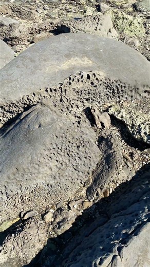 সেন্ট মার্টিন এর উৎপত্তি হয়েছে এই সামুদ্রিক প্রবাল থেকে। #foryou