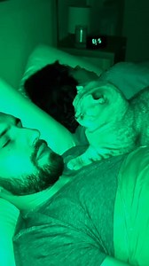 Stop snoring, human!😅 | Daily Mini Stories