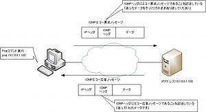 Ping ～きちんとデータは届きますか？～ | ネットワークのおべんきょしませんか？