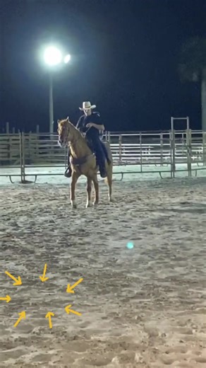 #LIVEIncentiveProgram #LIVEbringFANS #PaidPartnership