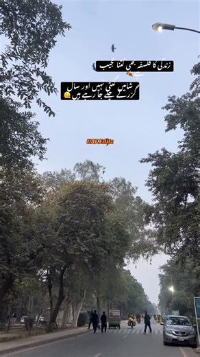 𝘈𝘨𝘳𝘢𝘳𝘪𝘢𝘯☘️ on Instagram‎: "شام🫠🍂#universityofagriculturefaisalabad #uaf #faisalabad #uafclocktower #foryou"‎