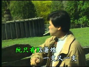 相思雨 - 洪榮宏