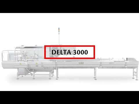 IMA Ilapak Delta 3000 HFFS flow wrapping machine for bakery buns