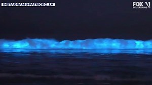 125K views · 2.5K reactions | INCREDIBLE!  It was a stunning sight in Marina del Rey as neon blue bioluminescent waves lit up the South Bay coast. FULL STORY: https://bit.ly/3DiikvW | FOX 11 Los Angeles | Facebook