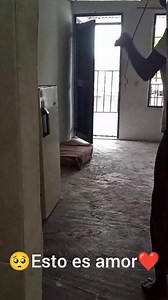 ❤️Me encanta este momento🥰🥺 #parejas #amor | Mi Alma Gemela 17