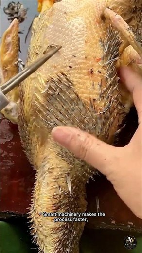 🐔 Feather Plucking Machine | Fast & Efficient Poultry Processing ⚙️✨