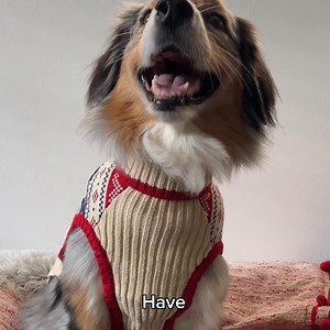 Ace the holidays and take the guesswork out of gift-giving. Celebrate with friends and family, near or afar with Elfster, the easiest way to organize a gift exchange virtually or IRL. Start a free Secret Santa today! | Elfster