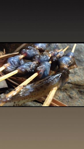 1.2K views · 23 reactions | Ant Farm Outdoors on Reels | Facebook