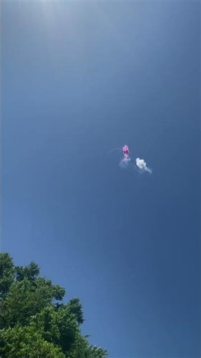 Flamingo Fling by World Class Fireworks #banger #fireworks #parachute