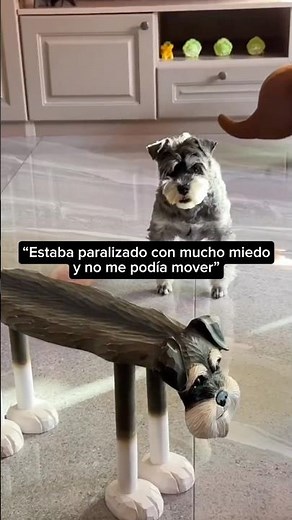 Estaba PARALIZADO y no se podía mover