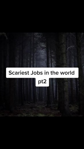 Scariest Jobs in the World Pt2 - Bridge Painter vs Clown