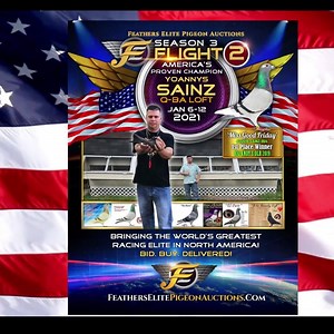 LET’S GET THIS PARTY STARTED EARLY🥳🥳🥳 Due to an overwhelming response from the public we are pleased to announce the Q-BA FAMILY LOFT-YOANNYS SAINZ~USA online auction is NOW OPEN FOR BIDS!! Where to bid: https://www.featherselitepigeonauctions.com/auction/q-ba-family-loft-yoannys-sainzusa-176/bidgallery/ | Feathers Elite Pigeon Auctions