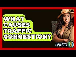What Causes Traffic Congestion? - Ecosystem Essentials
