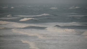 Lido Beach Surf Report, Surf Forecast and Surf Cam - Surfline