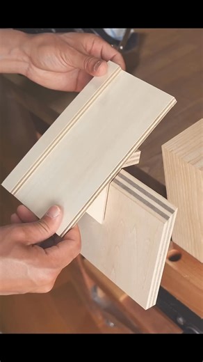 2 Types of Joinery with a Circular Saw #diy #tools #tricks | Clips A1 08