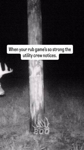 When you’re the boss of the woods… even the telephone poles get it. #bowhunting #deerhunting #tactacamreveal #hunting #team200tv #bigbucks #archery #project200 | Team 200TV
