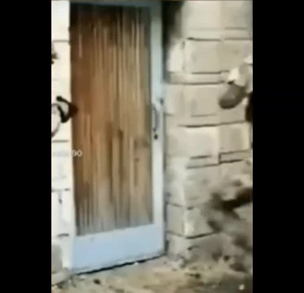 Tactical Entry Techniques in Military Training