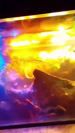 Fish tank night mod.#yassi#