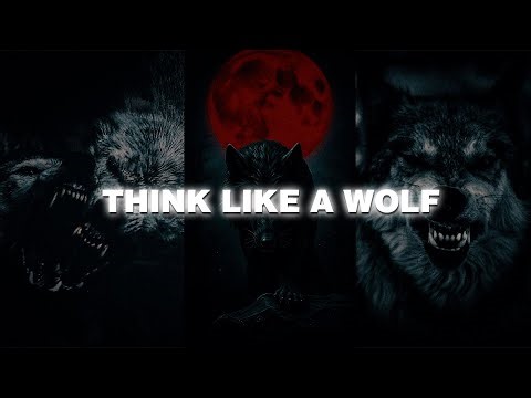 5 Wolf Lessons That Will Make You Unstoppable