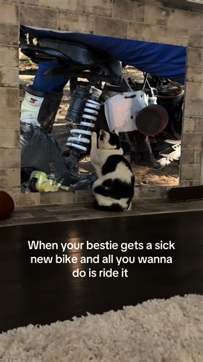 The mono shock goes crazy 😩#Meme #MemeCut