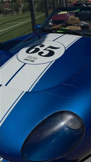5 litres. V8. No electronic nannies — TVR Griffith 500 #automobile