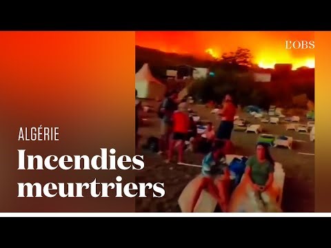 Incendies en Algérie : au moins 34 personnes tuées