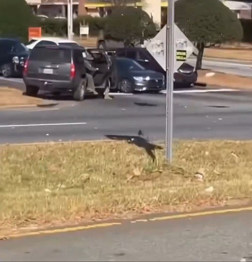 LAW ENFORCEMENT OFFICER INJURED DURING ENFORCEMENT OPERATION. Sunday afternoon in Charlotte near University City, a United States citizen weaponized his vehicle, driving a large van at law enforcement while they were conducting an operation. He immediately fled the scene, starting a dangerous high-speed chase through a densely populated area. During the chase, he attempted to ram into law enforcement vehicles— posing a serious public safety threat. As agents were boxing him in— the driver procee